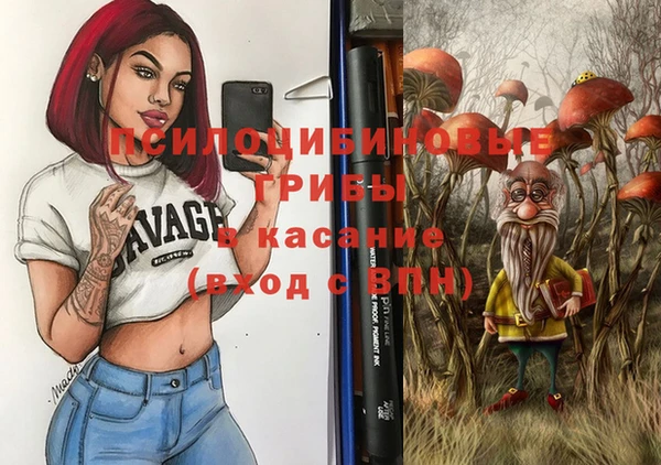 хмурый Краснослободск