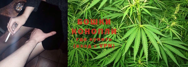 шишки Краснотурьинск