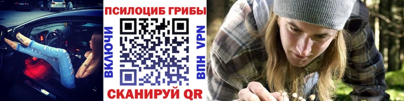 Псилоцибиновые грибы GOLDEN TEACHER Купить Александровск-Сахалинский